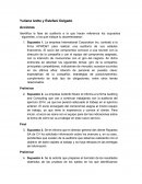 Actividad de fases de auditoria