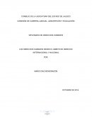 LOS DERECHOS HUMANOS DESDE EL ÁMBITO DE DERECHO INTERNACIONAL Y NACIONAL
