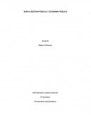 NUEVA GESTION PÚBLICA Y ECONOMIA PÚBLICA