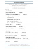 PRACTICA FINAL AUDITORIA