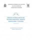 DROGAS ESTIMULANTES DEL SISTEMA NERVIOSO: TABACO, MARIHUANA Y COCAÍNA