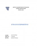 Ensayo expositivo de administración de nómina