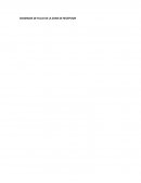 DIAGRAMA DE FLUJO DE LA ZONA DE RECEPCIÓN