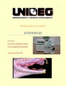 RESUMEN METODOLOGIA DE LA INVESTIGACION