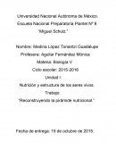 Diabetes y la genomica