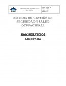 SISTEMA DE GESTIÓN DE SEGURIDAD Y SALUD OCUPACIONAL
