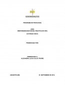AREA RESPONSABILIDAD SOCIAL PRÁCTICA DE VIDA