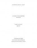 ANALISIS DE LA PELICULA: “KLASS”