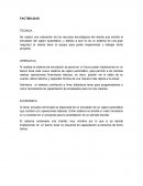 FACTIBILIDAD TECNICA