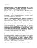 El proceso del metabolismo