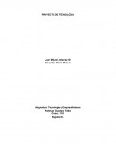 El proyecto del robot