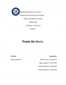 Trabajo Social - Proyecto