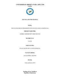 INFORME TEST DE MATRICES PROGRESIVAS DE RAVEN. Página 1