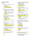 PRACTICA DE INVESTIGACIÓN DE MERCADOS