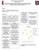 Aminoácidos y proteínas: Tipos, función y formación a través del código genético