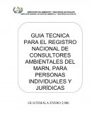MINISTERIO DE AMBIENTE Y RECURSOS NATURALES DIRECCIÓN GENERAL DE GESTIÓN AMBIENTAL Y RECURSOS NATURALES