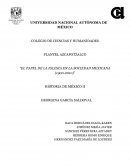 La influencia de la iglesia en la sociedad mexicana (1900-2010)