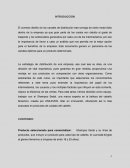 ANALISIS DE CANALES DE DISTRIBUCION. SEDAL