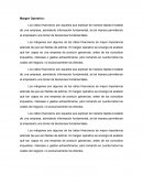 Nuevo Margen Operativo