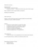 Realización de la fiesta de quince años