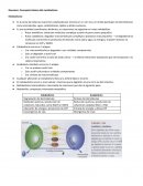 Conceptos básicos del metabolismo