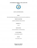 INFORME TEST DE MATRICES PROGRESIVAS DE RAVEN