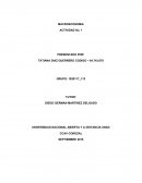 MACROECONOMIA: EXPLICACIÓN DE ESCENARIO DEL PROBLEMA
