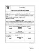 Sesión de Bienvenida al curso, generalidades y metodología a seguir