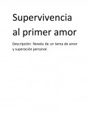 Novela: Supervivencia al primer amor
