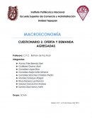 CUESTIONARIO DE OFERTA Y DEMANDA AGREGADAS