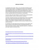 La importancia del mercado interno y los consumidores domésticos