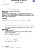 Plan de trabajo dia del logro