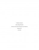 Técnicas en prevención de riesgos sector productivo