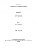 Trabajo Momento: Explorando la realidad local