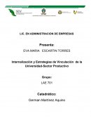 Internalización y Estrategias de Vinculación de la Universidad-Sector Productivo