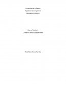 Líneas de Campo Equipotenciales