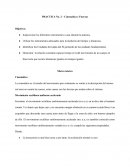 Demostrar la relación constante espacio tiempo (e/t) del movimiento de un cuerpo en línea recta que recorre distancias iguales en tiempos iguales
