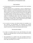 Fotorreceptores y el procesamiento visual