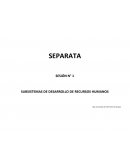 SUBSISTEMAS DE DESARROLLO DE RECURSOS HUMANOS
