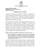 TRABAJO SOCIAL FAMILIAR: DIVISIÓN SOCIAL EN LA FAMILIA