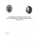 El bioma se caracteriza principalmente por el clima, en particular, por la temperatura y la precipitación.
