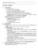 Conducto palatino anterior: por detrás de la espina nasal, por donde pasan el nervio esfenopalatino interno y una rama arterial de la esfenopalatina.