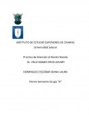 Embriologia: Practica de Atención al Recién Nacido