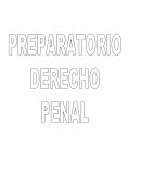 TEORIA DEL DELITO Y DERECHO PENAL
