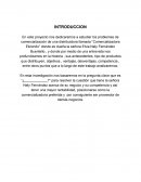 Los problemas de comercialización de una distribuidora llamada “Comercializadora Elizondo”