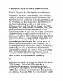 Durante el proceso de nixtamalización, se producen una serie de cambios químicos en el maíz