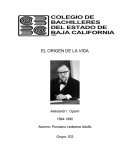 La lucha del materialismo contra elidealismo y la religión en torno alapasionante y discutido problema del origen de la vida