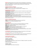 Marketing Apuntes sobre la tecnicatura