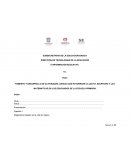 SUBSECRETARIA DE LA EDUCACION BASICA DIRECCION DE TECNOLOGIAS DE LA EDUCACION E INFORMACION EDUCATIVA