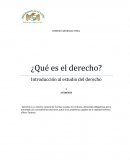 ¿Qué es el derecho? Introducción al estudio del derecho
